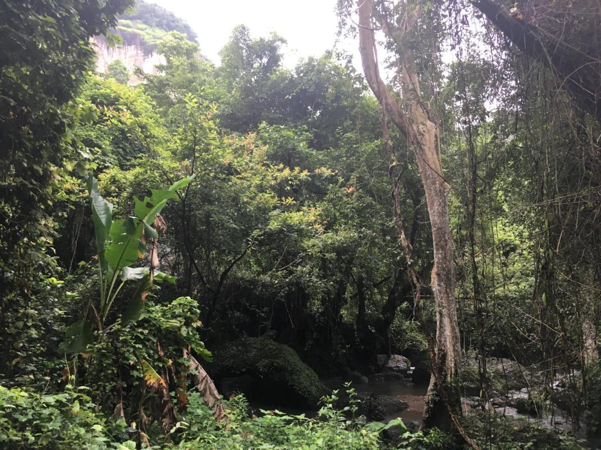 Baan Suan Kru Kob Hotel Ban Ko Maphang Екстериор снимка
